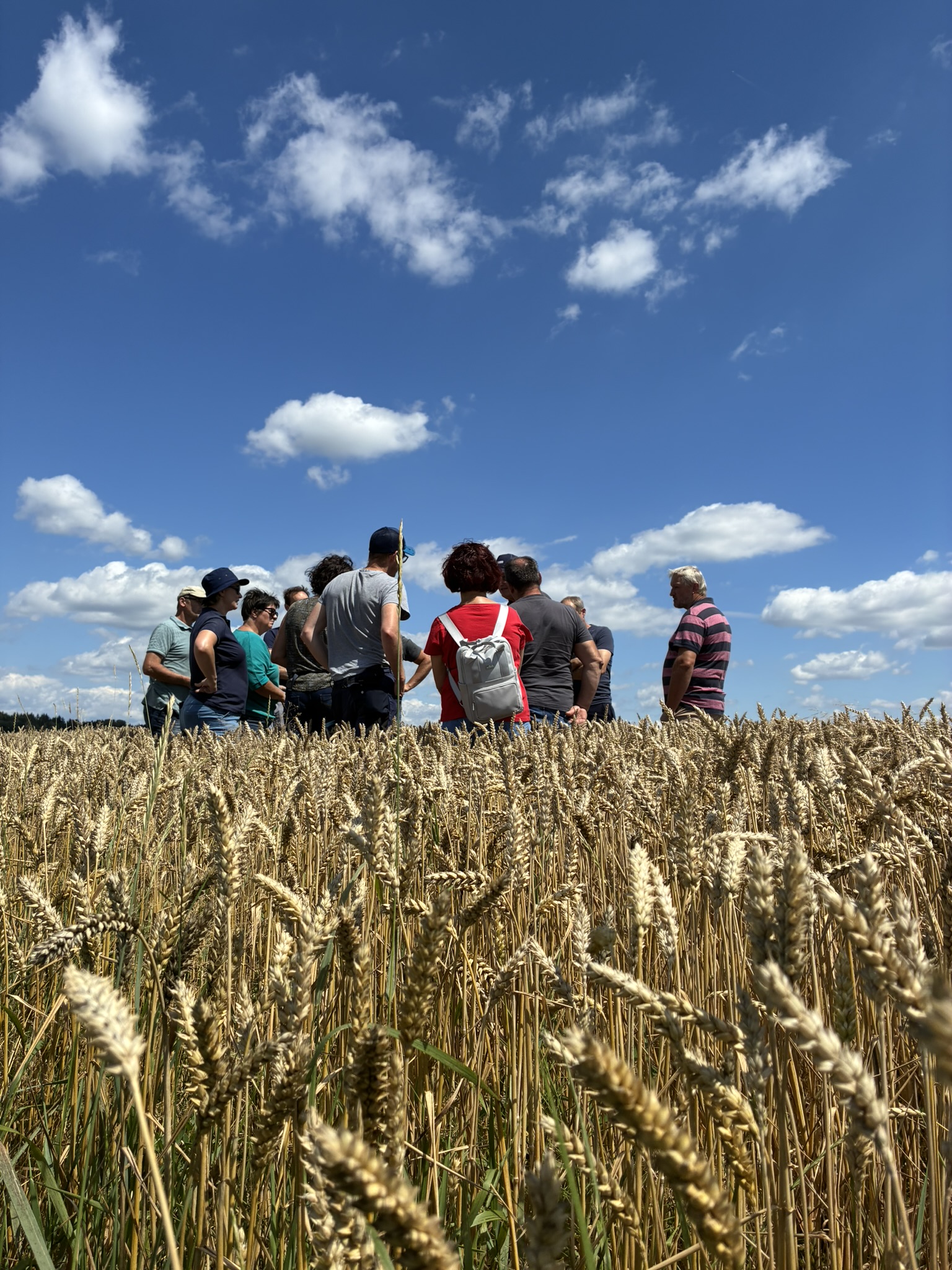 AckerINNpulse: Was uns der Boden im Sommer verrät